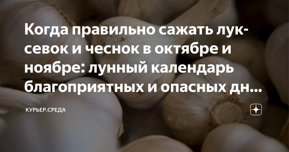 Посадка чеснока под зиму по лунному календарю. Благоприятные дни для посадки чеснока. Благоприятные дни для посадки чеснока в октябре. Календарь посадки чеснока на октябрь месяц. Благоприятные дни для посадки чеснока в октябре.