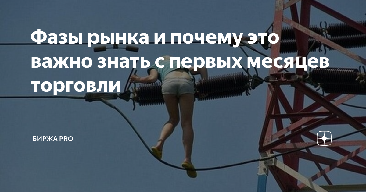 Фазы рынка и почему это важно знать с первых месяцев торговли | Pro ...