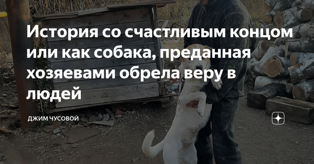 История со счастливым концом или как собака, преданная хозяевами обрела ...