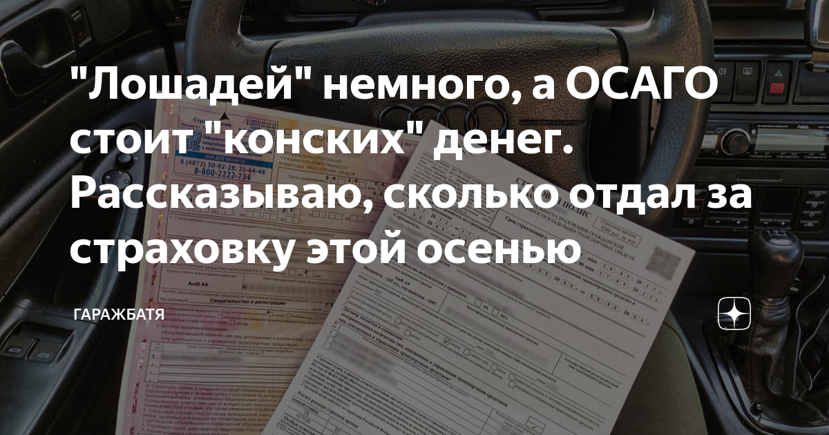 "Лошадей" немного, а ОСАГО стоит "конских" денег. Рассказываю, сколько ...