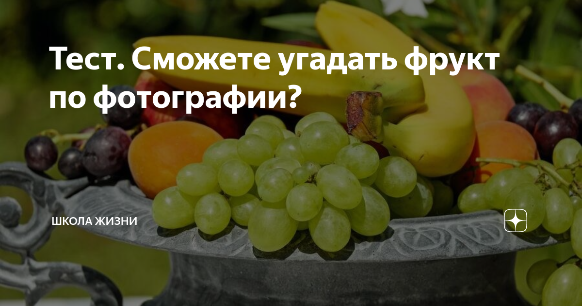 Тест. Сможете угадать фрукт по фотографии? | Школа Жизни | Дзен