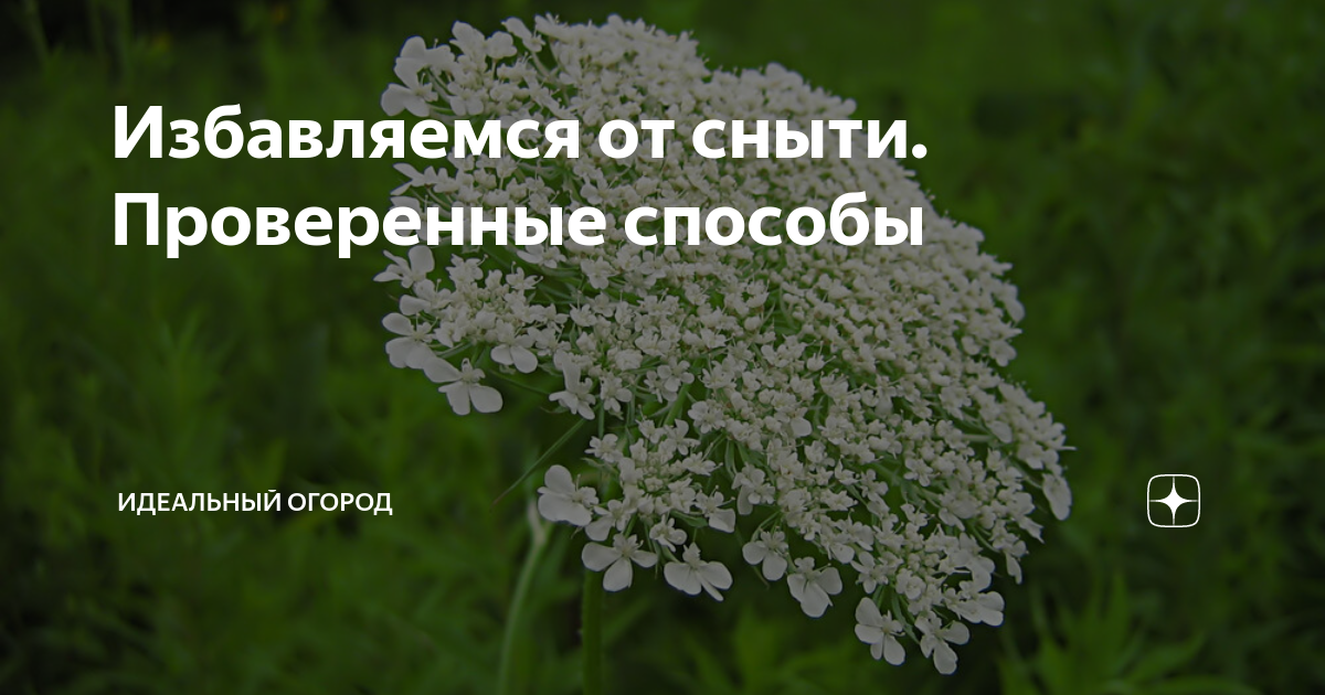 Методы ручной борьбы с ненужными растениями без применения химических средств