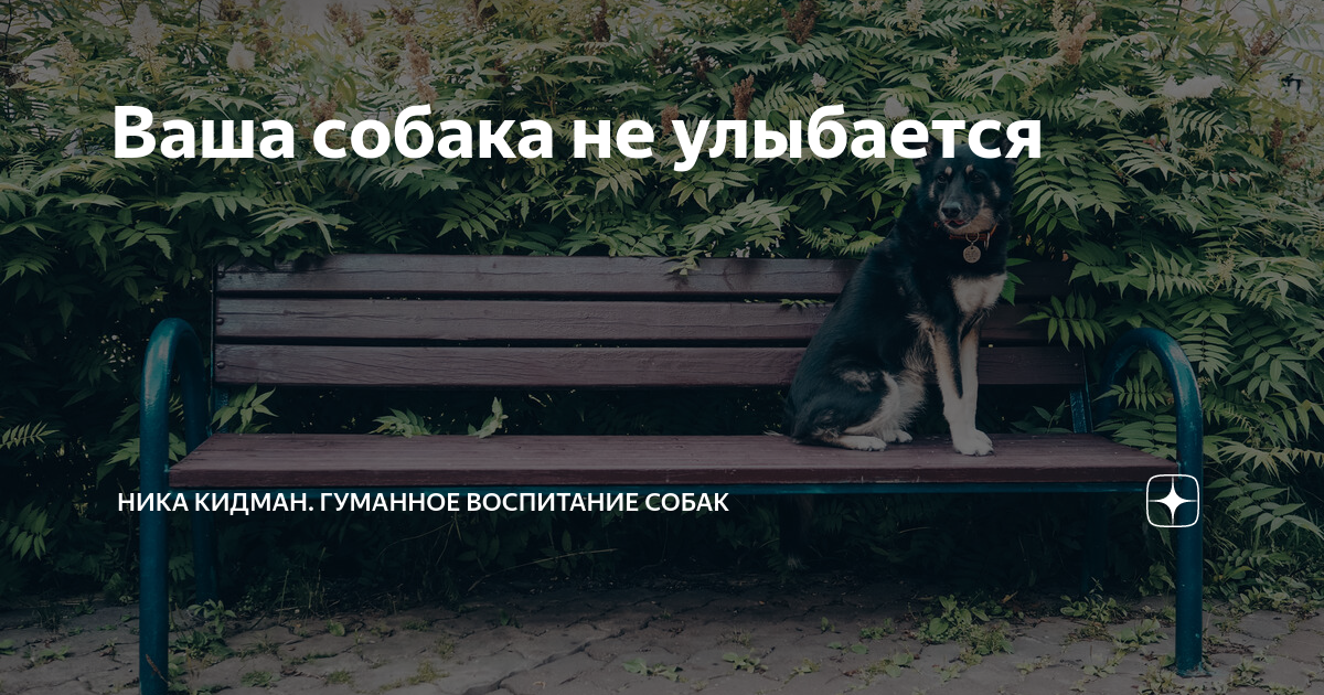 2. Похвала и поощрение