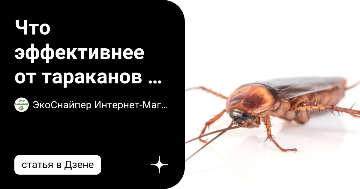 Что эффективнее от тараканов - ультразвук или электромагнитные волны ...