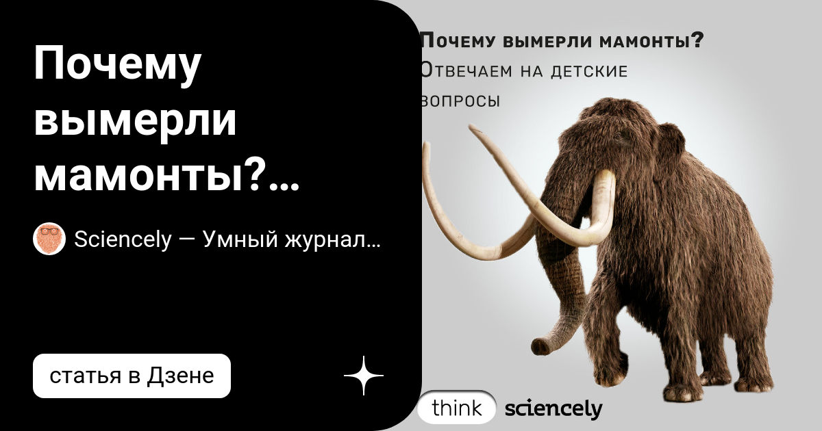 Цитаты аль капоне в картинках. Лох не мамонт не вымрет. Мавроди лох не мамонт. Лох рисунок. Человек не мамонт не вымрет текст.