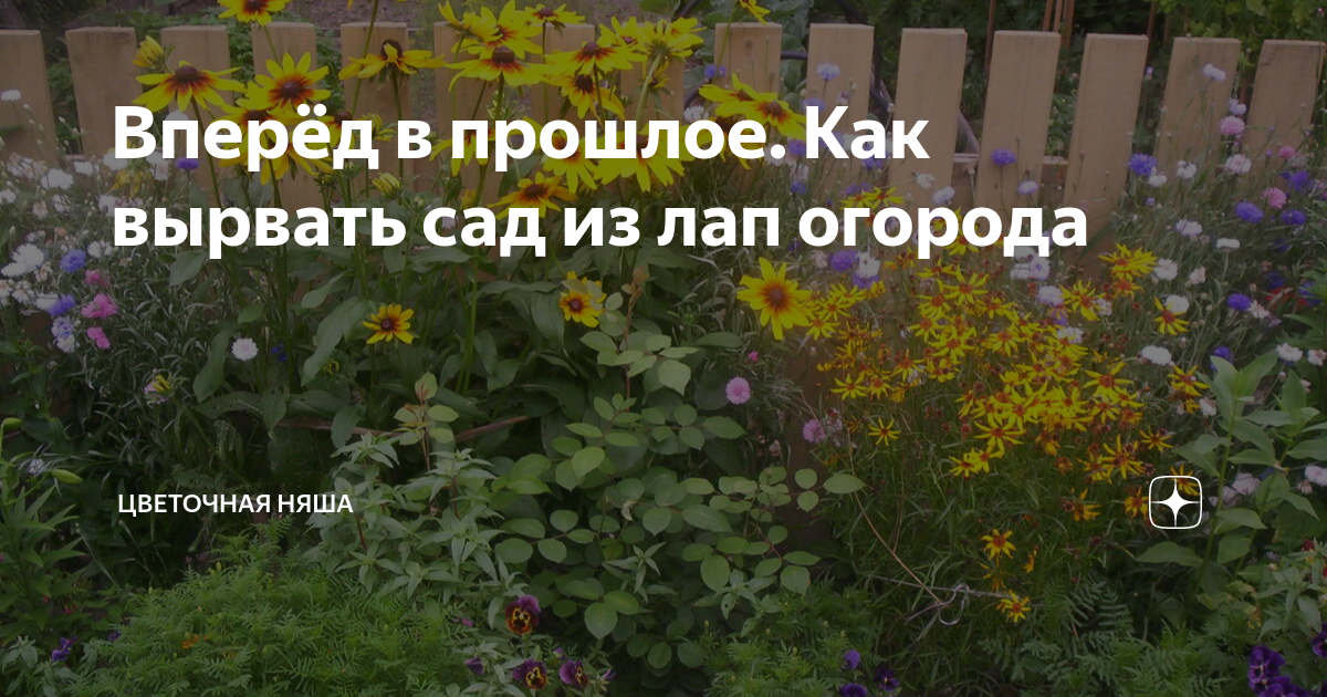 Вперёд в прошлое. Как вырвать сад из лап огорода | Цветочная няша | Дзен