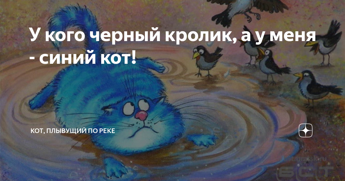 У кого черный кролик, а у меня - синий кот! | Кот, плывущий по реке | Дзен