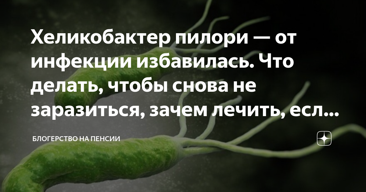 Найден метабиотик для борьбы с Helicobacter pylori – основной причиной язвы и гастрита