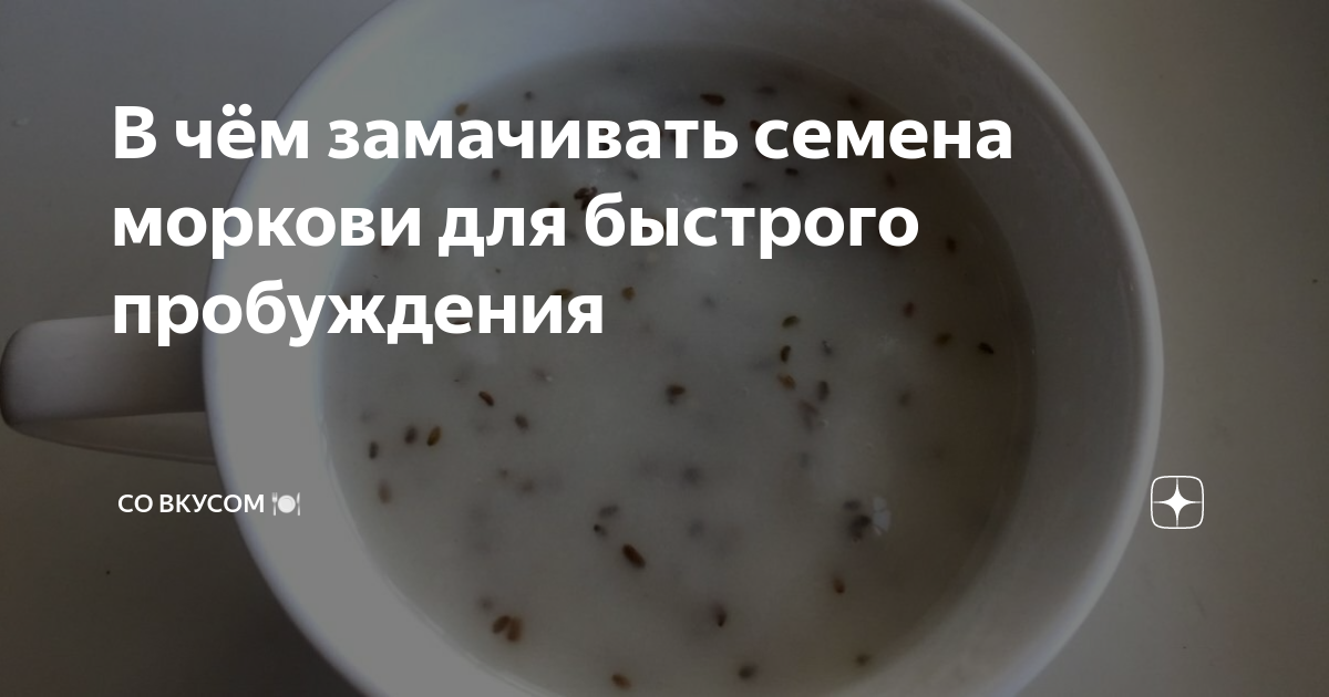 В чём замачивать семена моркови для быстрого пробуждения | СО ВКУСОМ 🍽 ...
