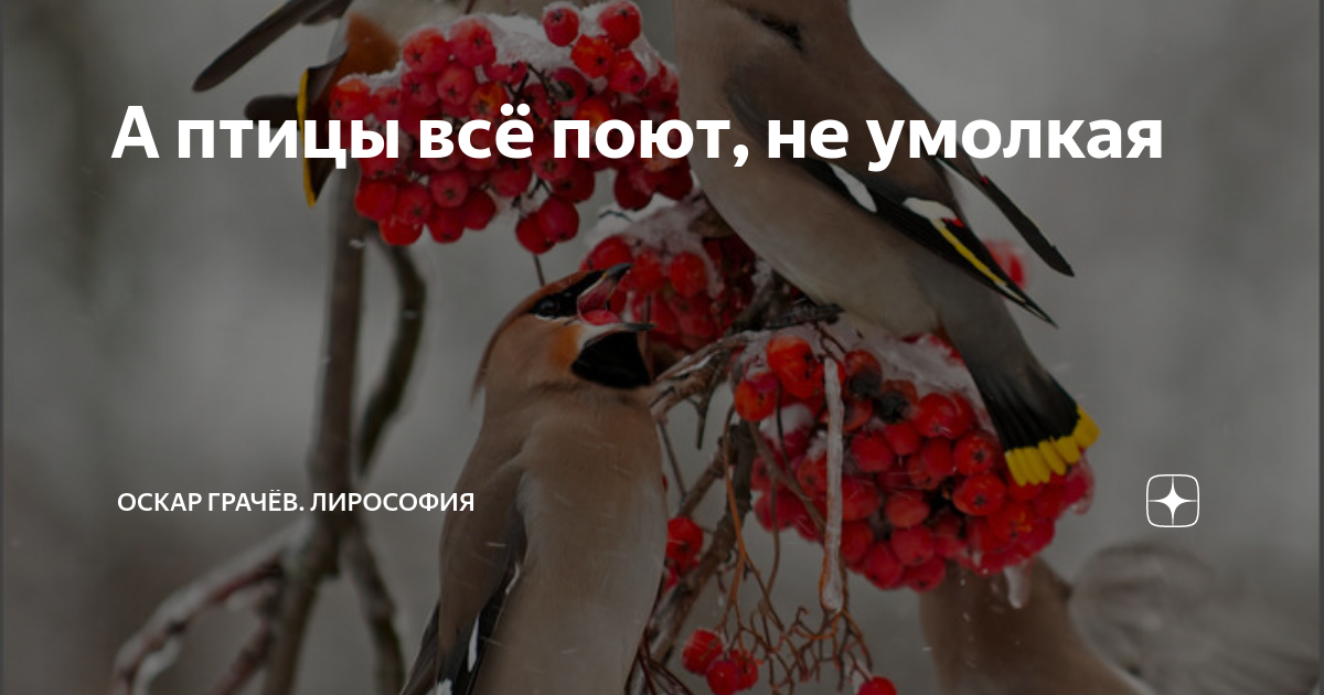 А птицы всё поют, не умолкая | Оскар Грачёв. Лирософия | Дзен