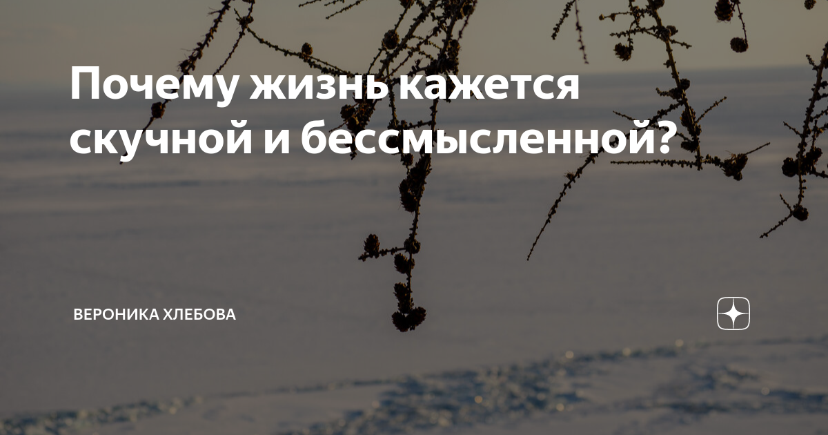 Почему жизнь март. Почему жизнь март