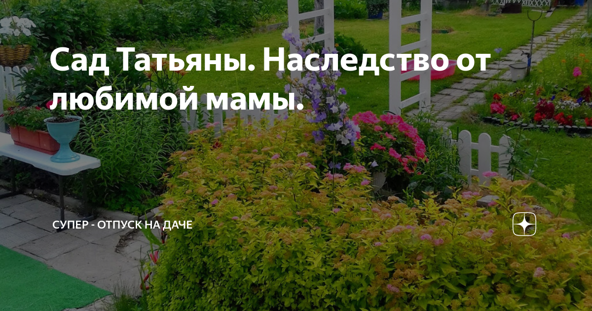 Супер отпуск на даче дзен телеграмм канал. Супер отпуск на даче дзен. Что сажают на дачных участках.