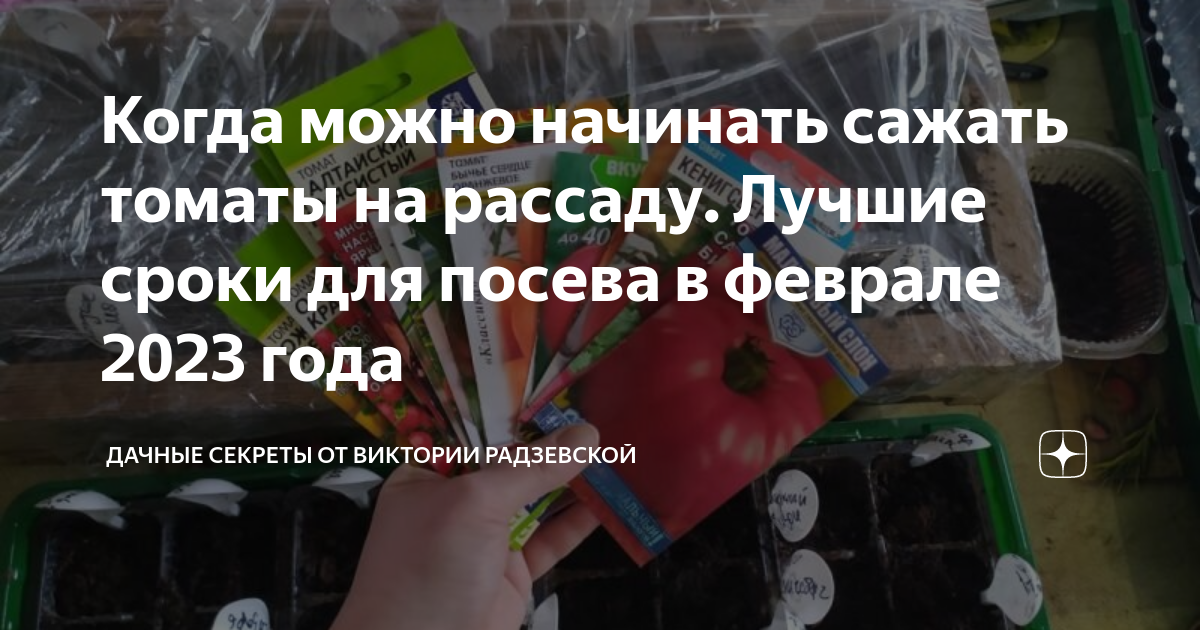 когда сажать помидоры в марте 2024г