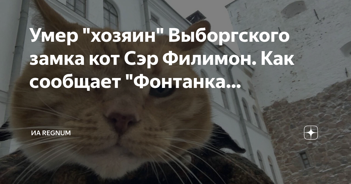 Мяудиссея замка котиков дата