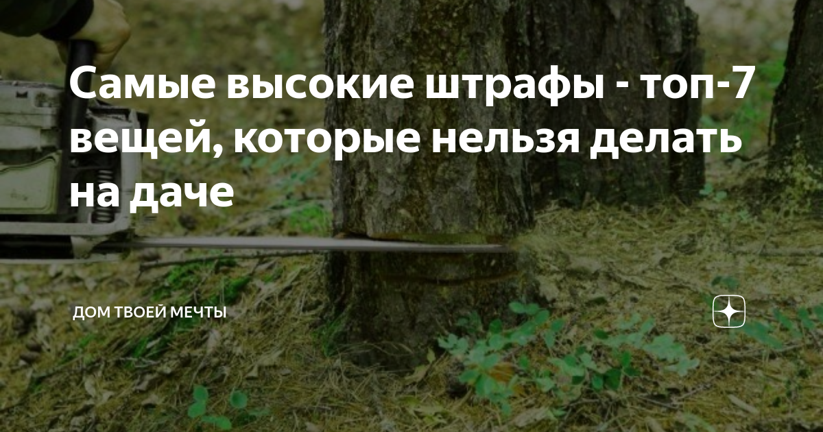 Самые высокие штрафы - топ-7 вещей, которые нельзя делать на даче ...