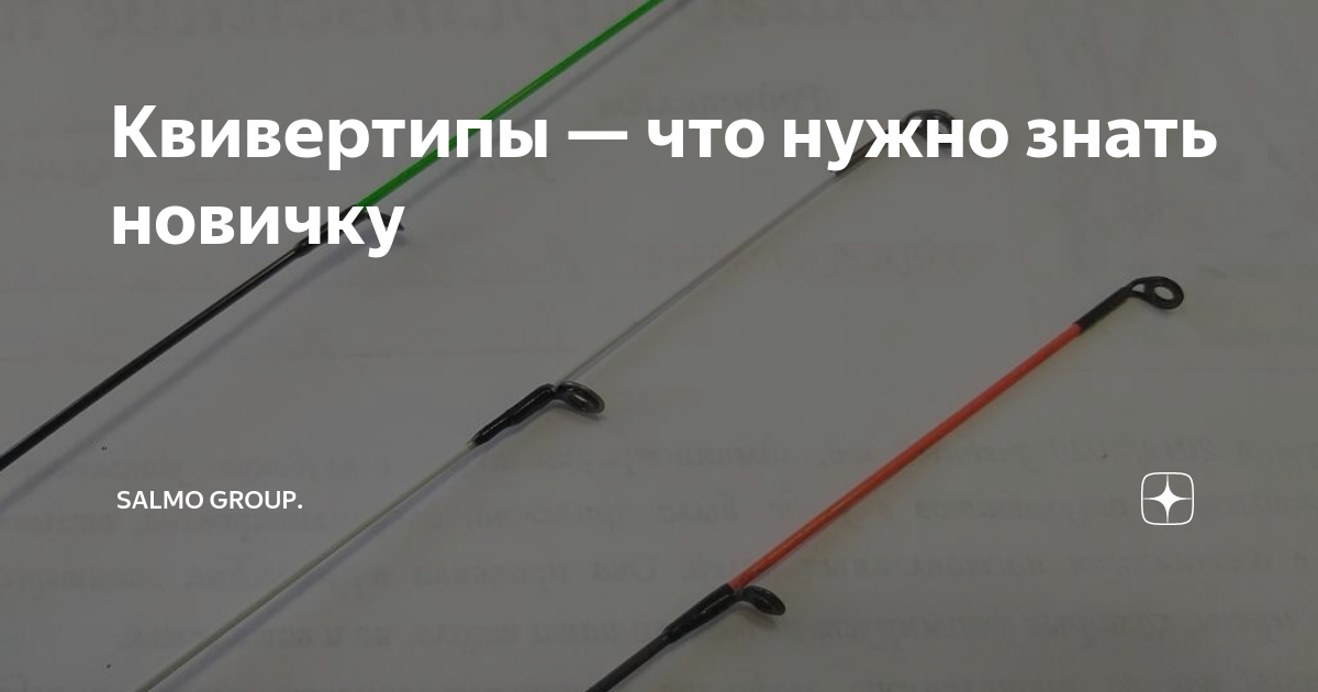 Квивертипы — что нужно знать новичку | Salmo Group. | Дзен