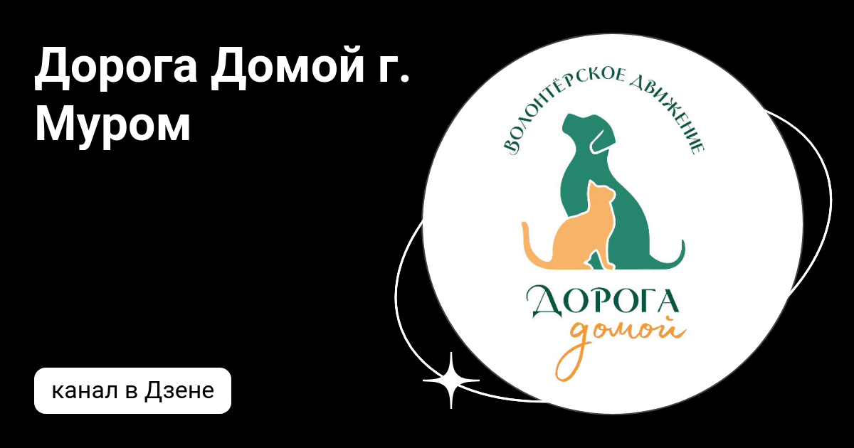 Мур мур дзен. Конная мастерская Лидер