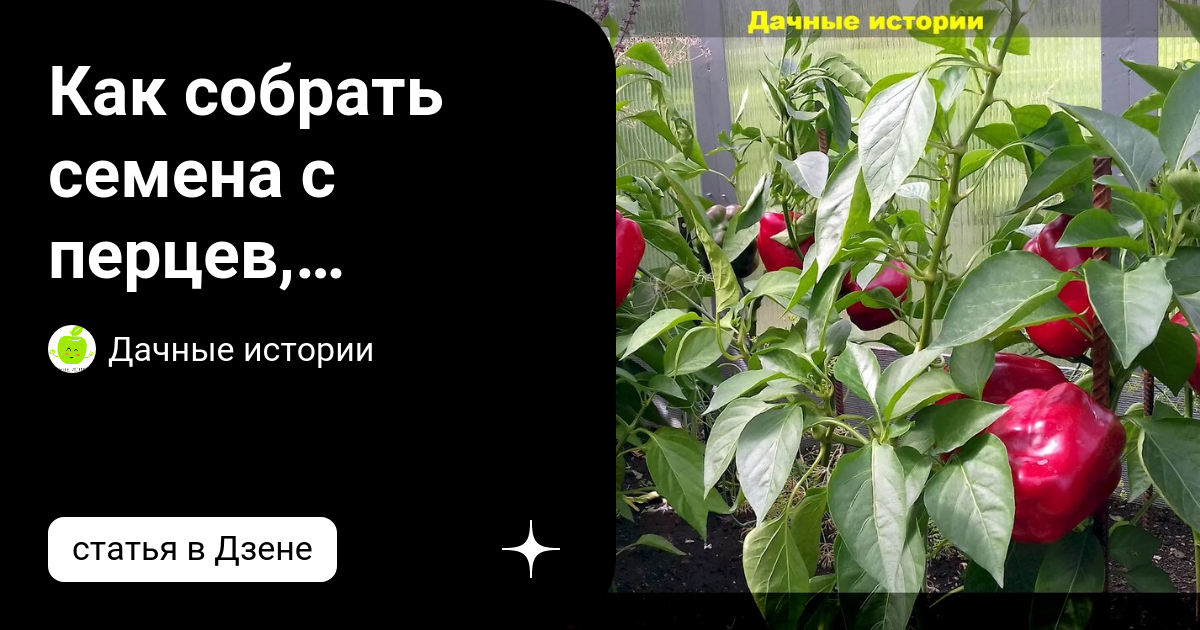 какие семена перца хорошие которые утонули или всплыли