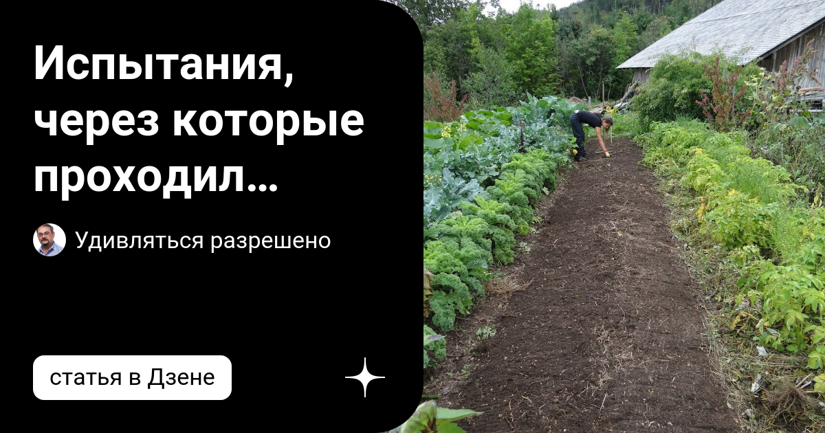 Человек на висячем мосту. Мостик человек. Человек на подвесном мосту. Васюткино озеро характеристика васютки. Джон сарно как вылечить боли в спине.