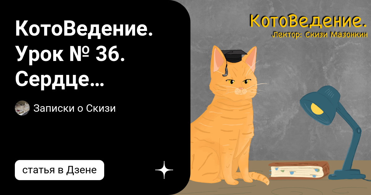 Котоведение дзен. Практическое котоведение. Котоведение дзен. Котоведение дзен. Котоведение дзен.