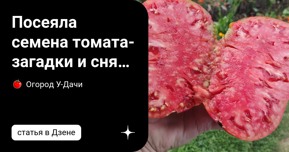 Посеяла семена томата-загадки и сняла настоящего тяжеловеса весом 700 ...
