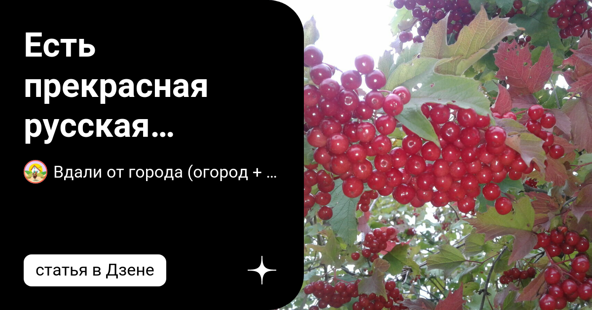 Кто ест калину