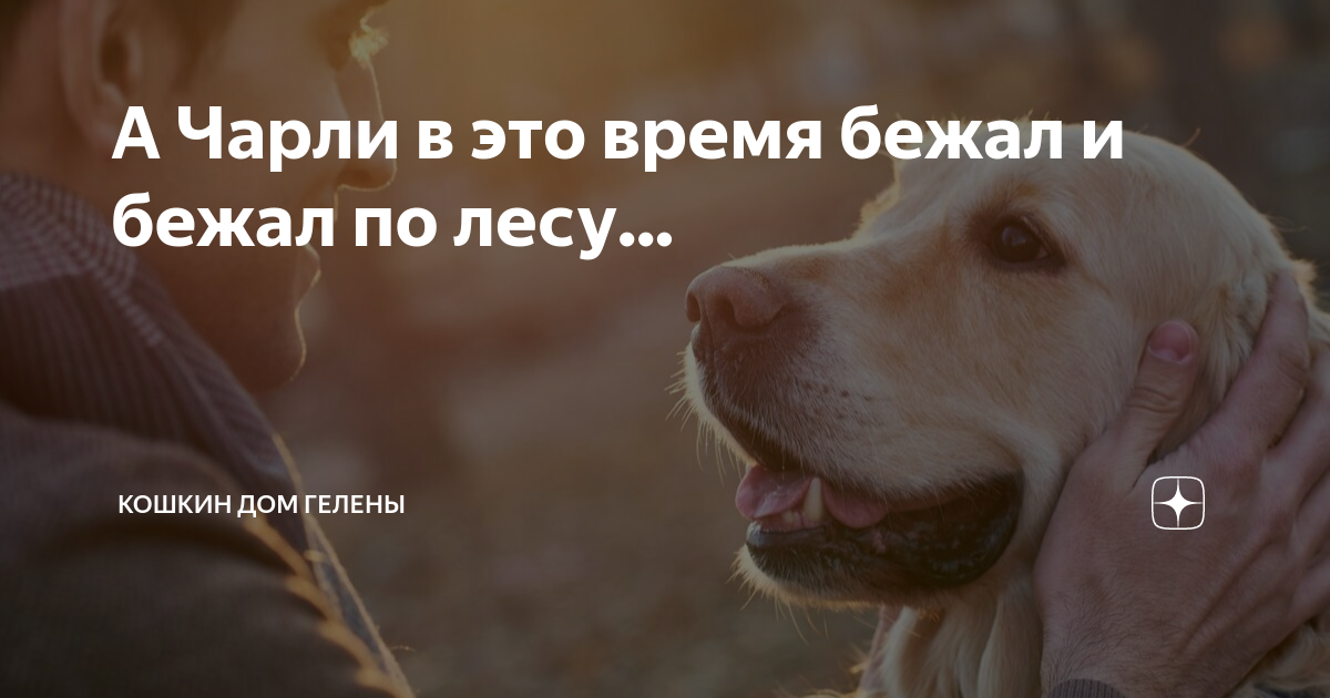 Бежать дрожь