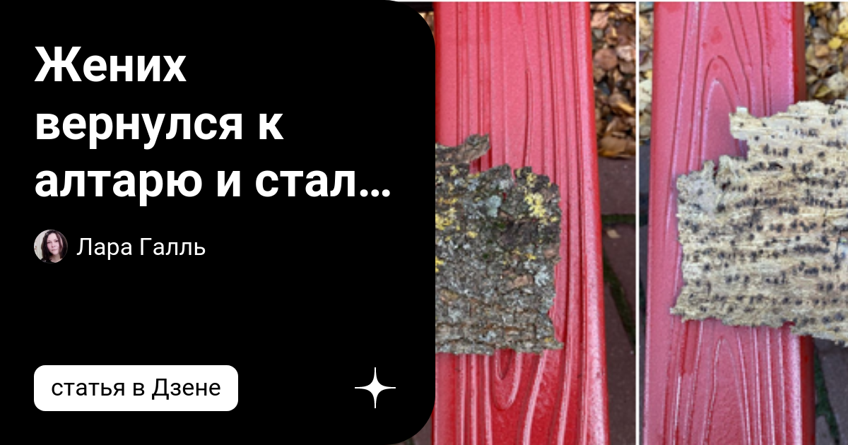 Жених вернулся к алтарю и стал мужем | Лара Галль | Дзен