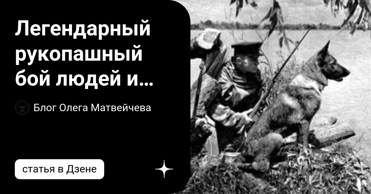 150 пограничных псов порвали полк фашистов в рукопашке