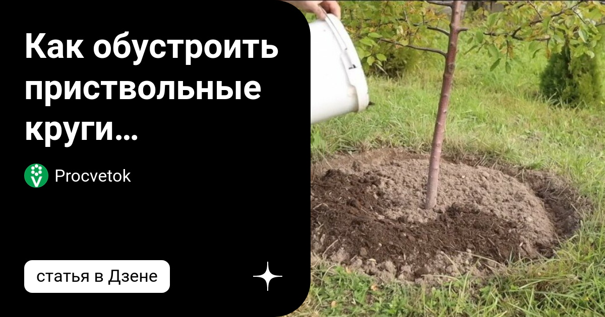 Как обустроить приствольные круги плодовых деревьев и ягодных ...