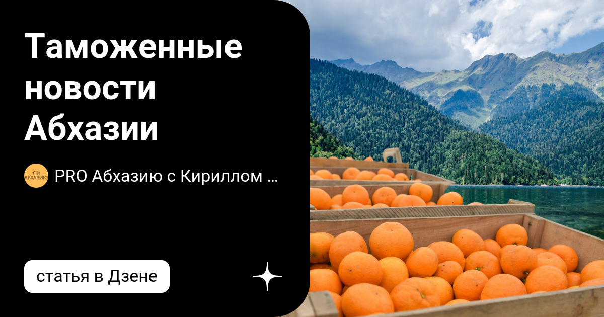 Абхазия ввоз. Базилевский Абхазия