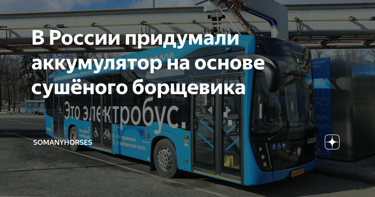 Аккумуляторы из борщевика