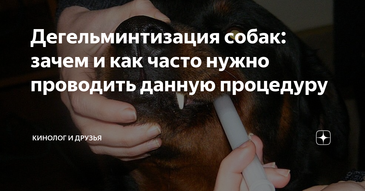 Частота при заражении круглыми гельминтами