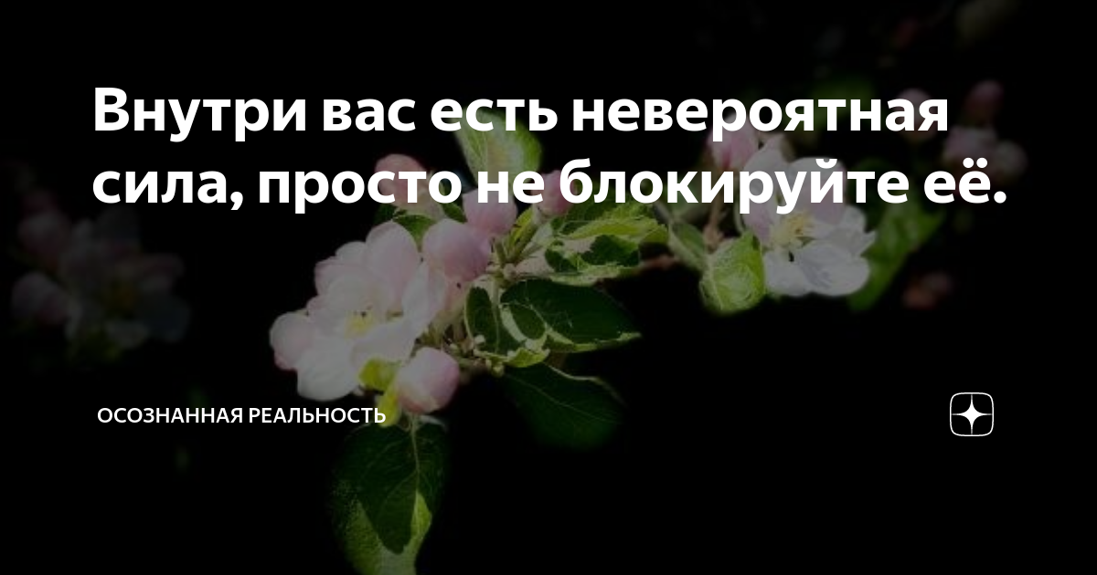 у нас сегодня все в силе