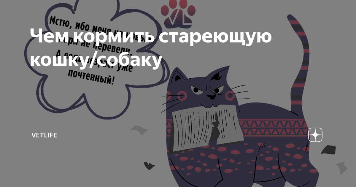 Чем кормить стареющую кошку/собаку | Ветеринарный диетолог vetLIFE | Дзен