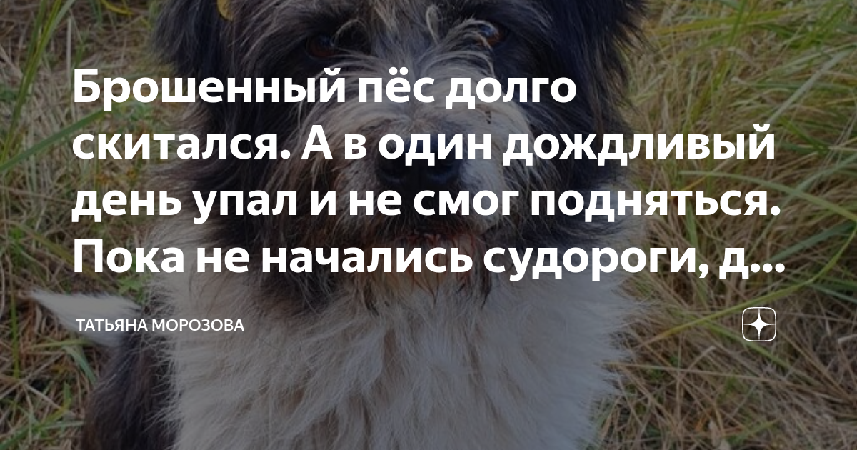 В один из дождливых дней алексей бочаров услышал по радио план текста