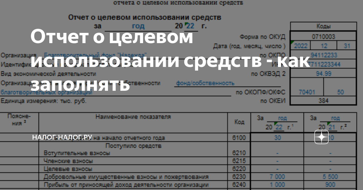 Отчет о целевом использовании средств образец