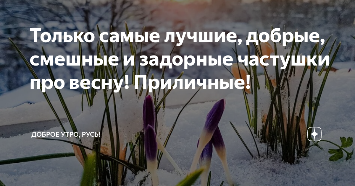 Скачать