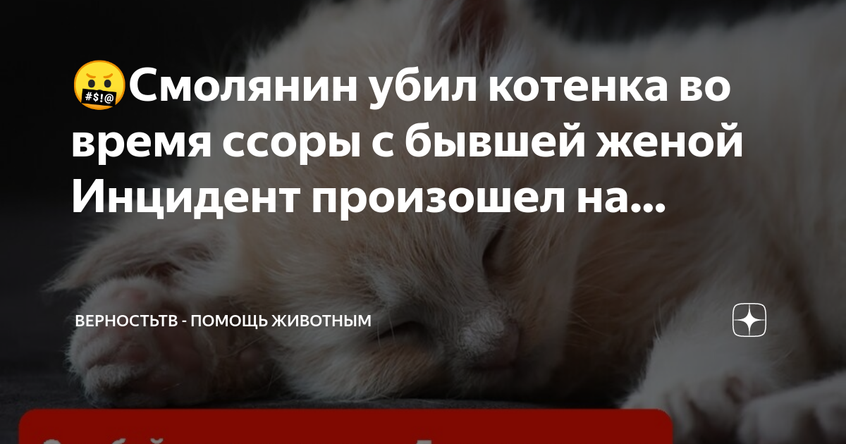 Верность тв спасение животных. Верность тв спасение животных. Верность тв спасение животных. Верность тв спасение животных. Верность тв спасение животных.