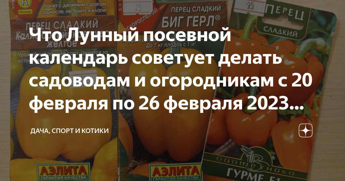 Лунный календарь 2023 огородника посевной