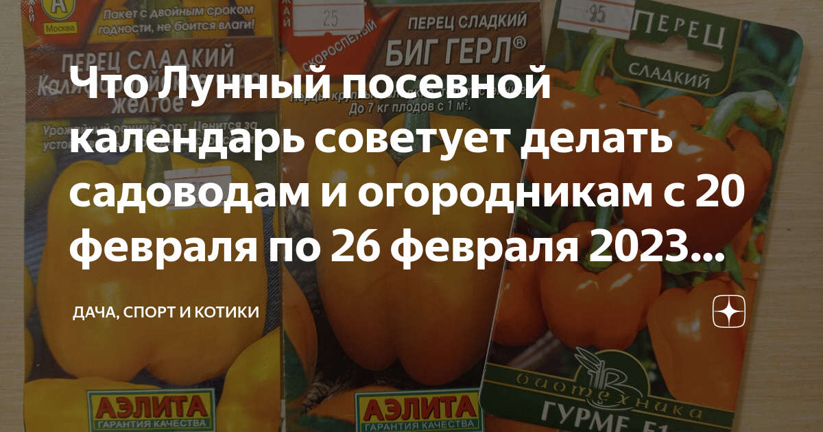 Лунный посевной календарь на 2023 год садовода