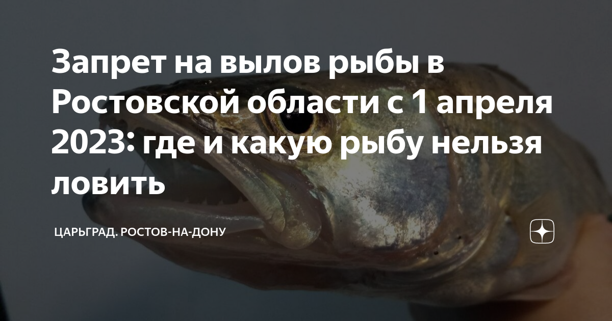 Какую рыбу нельзя ловить с 1 апреля. Рыбаки запрет