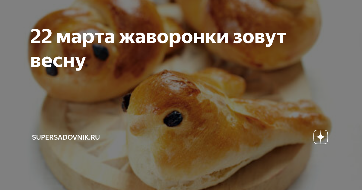 Весеннее равноденствие жаворонки. Жаворонки прилетите студену зиму Унесите. Когда Жаворонки.