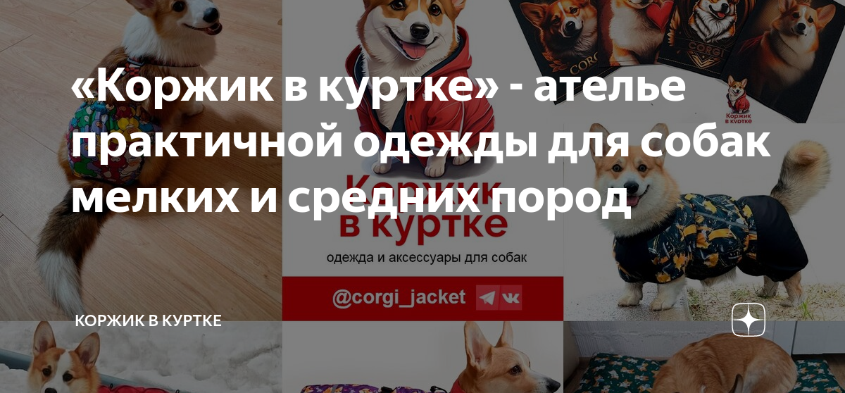 Коржик в куртке» - ателье практичной одежды для собак мелких и средних  пород | Коржик в куртке | Дзен