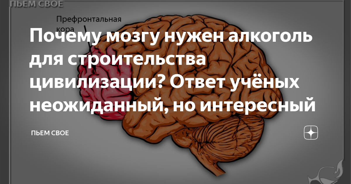 алкоголь не помогает найти ответ