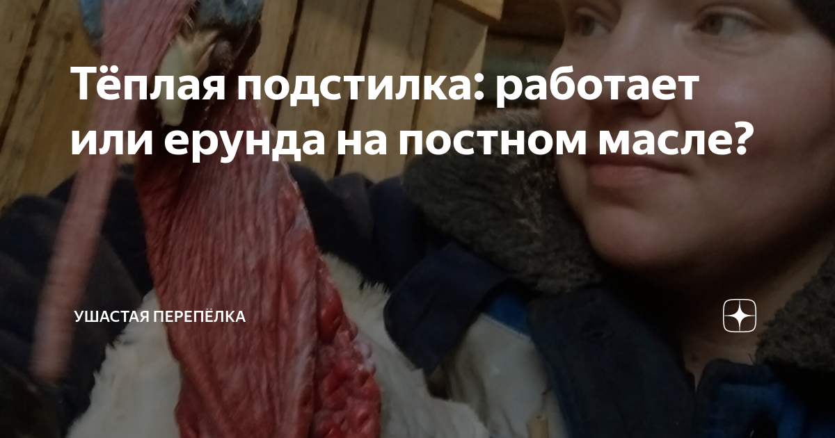 дети галактики или чепуха на постном масле