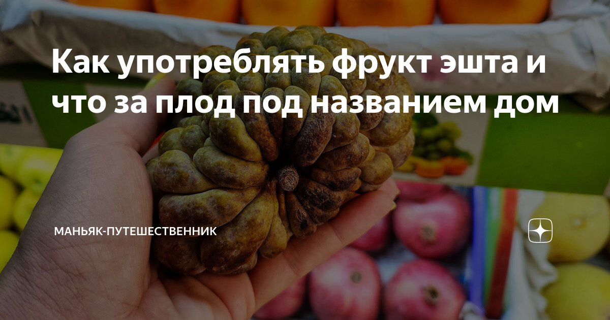 Как употреблять фрукт эшта и что за плод под названием дом | Маньяк ...