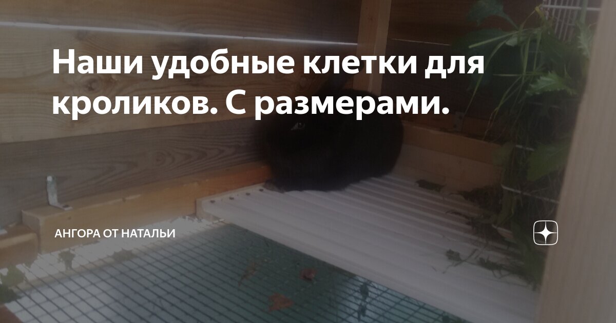 Учимся делать клетки для кролей