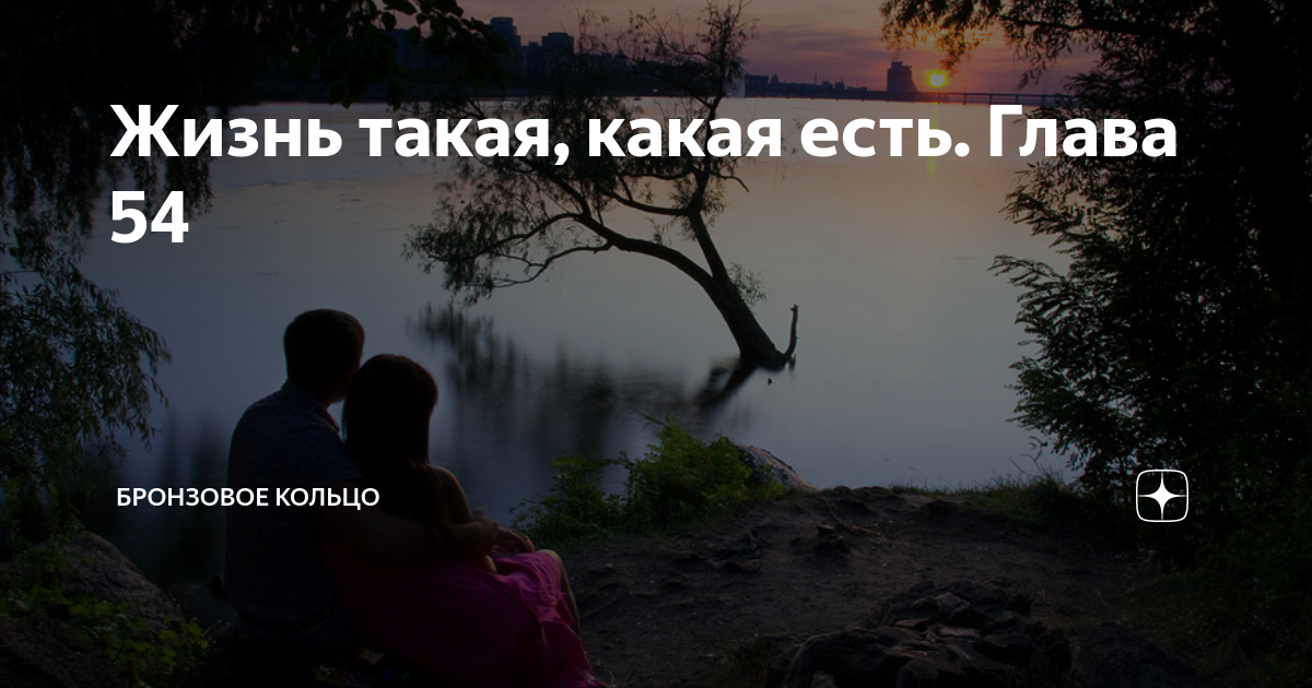Жизнь такая, какая есть. Глава 54 | Бронзовое кольцо | Дзен