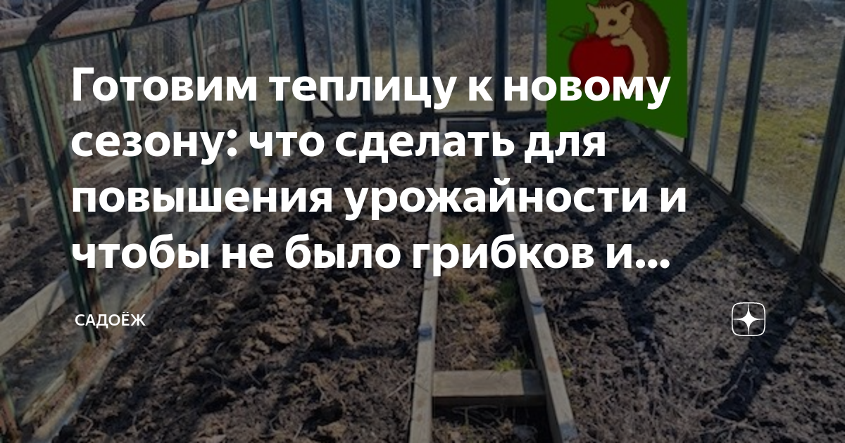 Готовим теплицу к новому сезону: что сделать для повышения урожайности ...